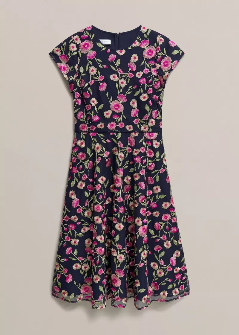 Petite Tia Embroidered Dress, Midnight Multi, hi-res